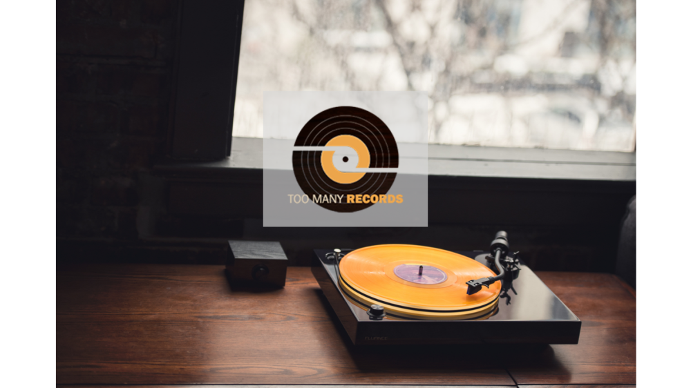Too Many Records Reviews Fluance RT85 Turntable