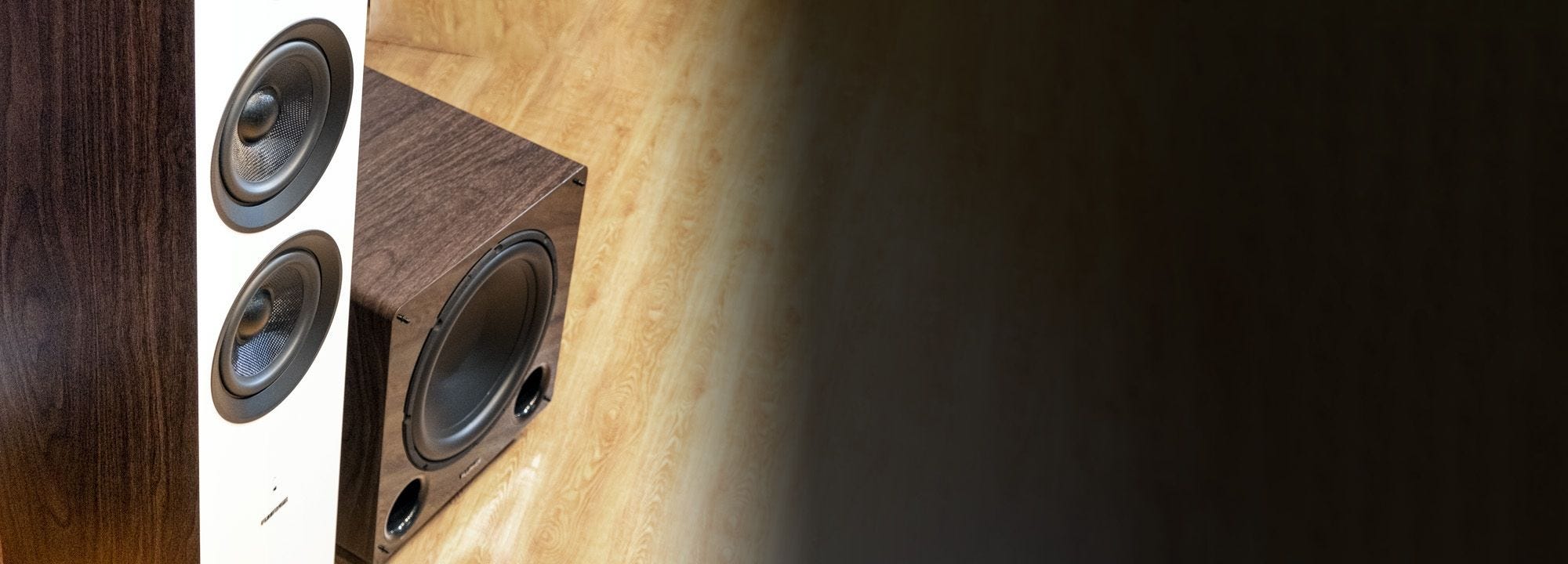 Ai81 Elite Powered 2-Way Floorstanding Tower Speakers and DB10 10