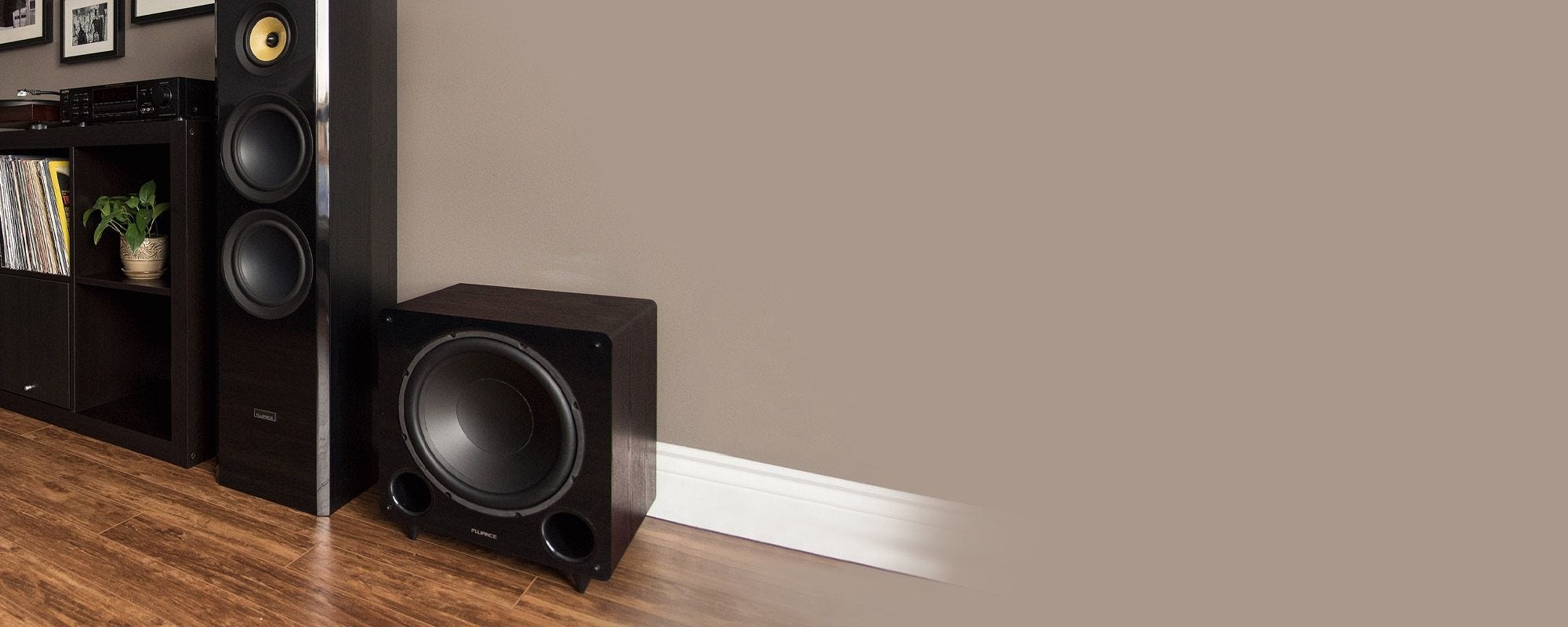 DB12 12-inch Low Frequency Ported Front Firing Powered Subwoofer