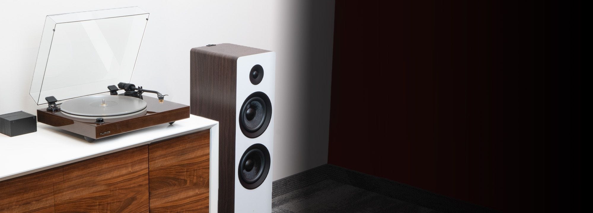 Reference RT85N High Fidelity Vinyl Turntable with PA10 Phono Preamp and Ai81 Elite Powered 2-Way Floorstanding Tower Speakers