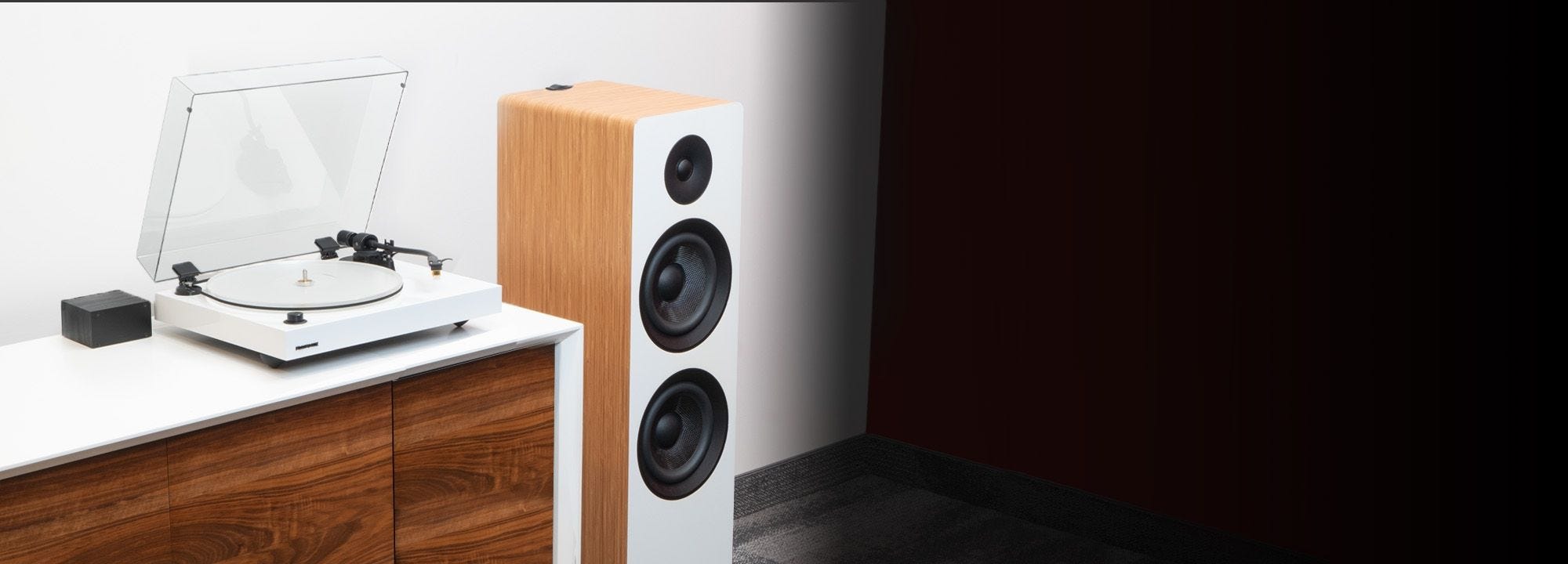 Reference RT85N High Fidelity Vinyl Turntable with PA10 Phono Preamp and Ai81 Elite Powered 2-Way Floorstanding Tower Speakers