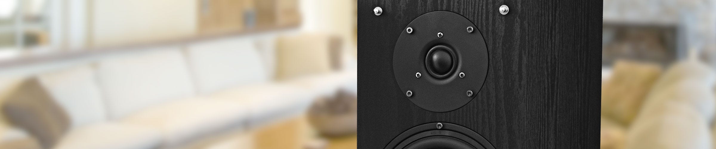 SXHTBBP-KIT theater system speakers tweeter