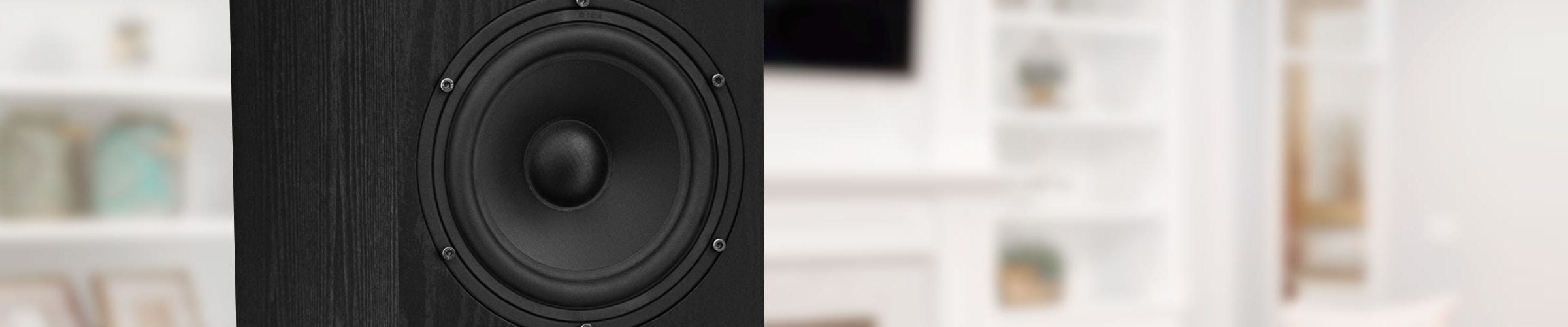 SXHTBBP-KIT theater system speakers woofer